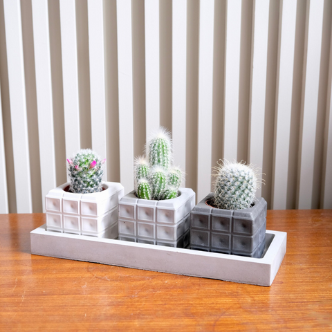 Molde para Mini Maceta y Porta Vela Punteada Cuadrada