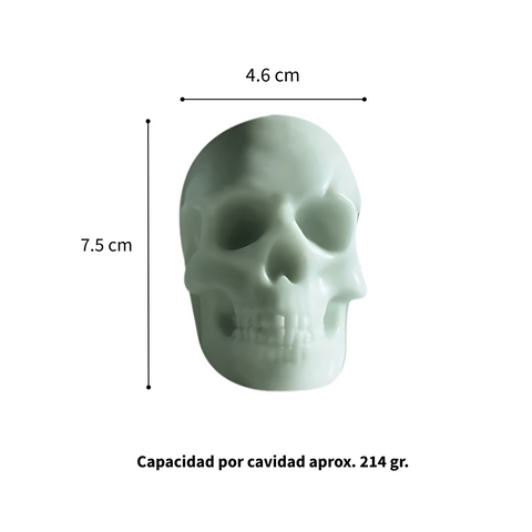 Molde Cráneo Grande 3D