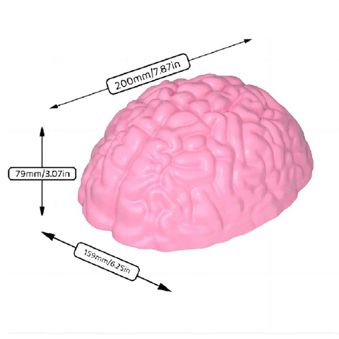 Molde de Cerebro para Gelatina Molde de Silicón Grande