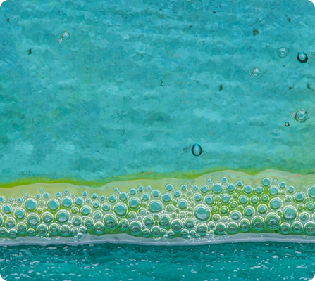 ¿Qué son los moldes de silicón? - PRUEBA 3