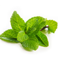 Esencia Aroma Menta 20 ml