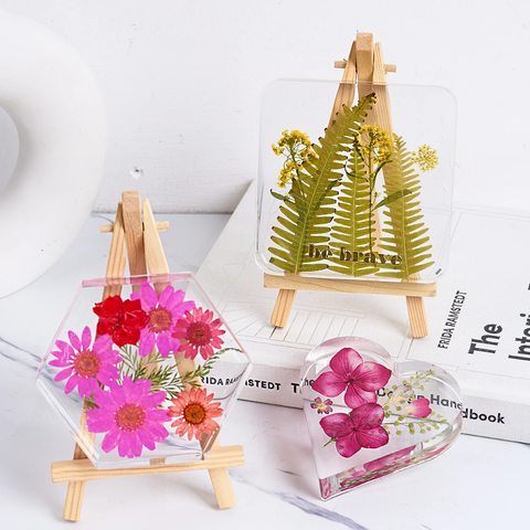 Molde 6 Octágonos Porta vasos