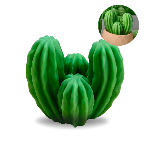 Molde Cactácea 3D