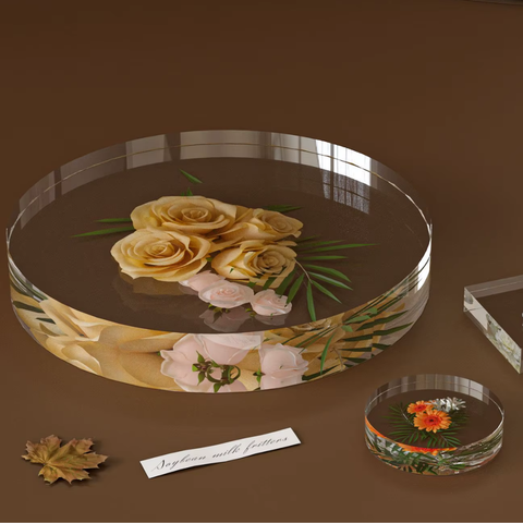 Molde Circular 22.6 cm