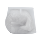 Molde Calavera de Azúcar Grande 3D