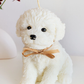 Molde Perro Jumbo 3D 15cm