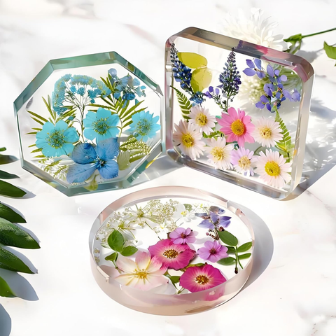 Molde Portavasos 6 Formas