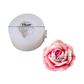 Molde Rosa Fresca