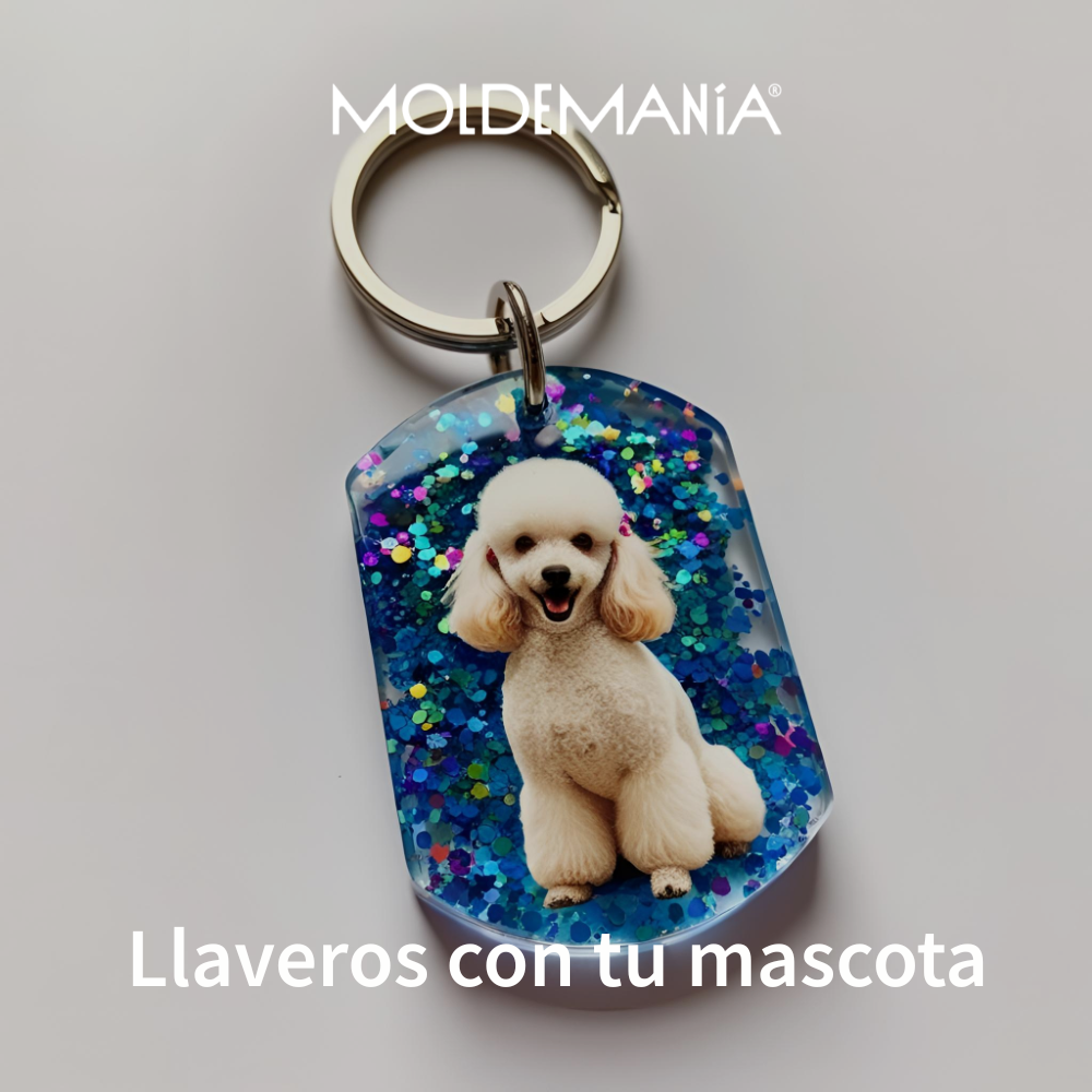 Taller Llaveros Mascotas