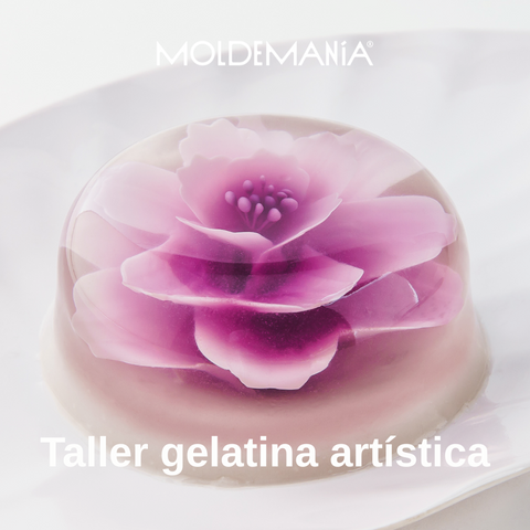 Taller Gelatina Artística