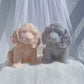 Molde Cachorro Cocker Jumbo 3D