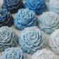 PEONIAS 3D MEDIANAS