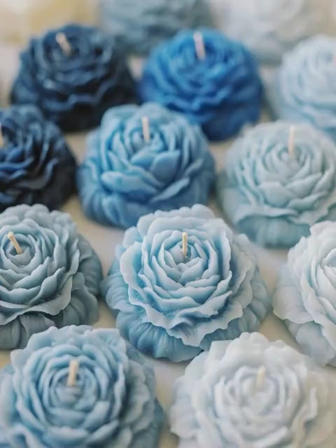PEONIAS 3D MEDIANAS
